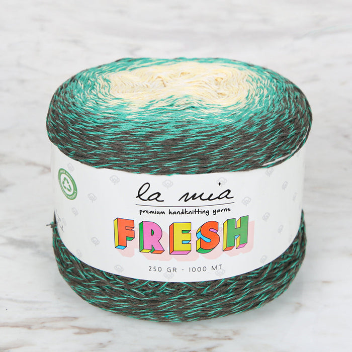 La Mia Fresh Knitting Yarn, Variegated - LF024